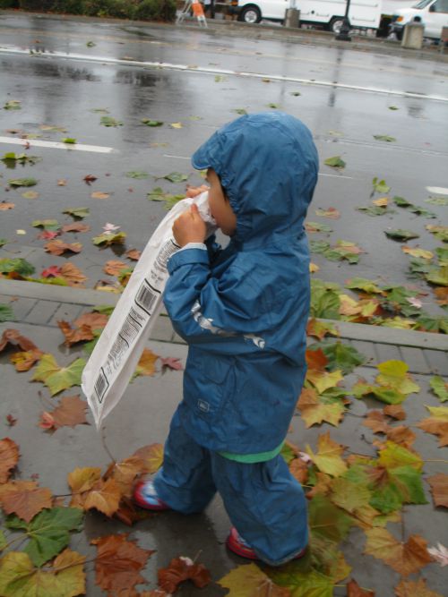 生憎の雨。買ったばかりのパンに夢中の我息子