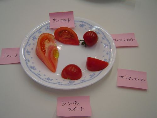 今回の食べ比べたのはこの５種類のトマト