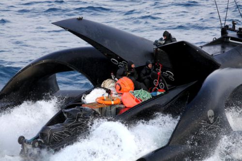 アディ・ギル号　写真：（財）日本鯨類研究所 提供