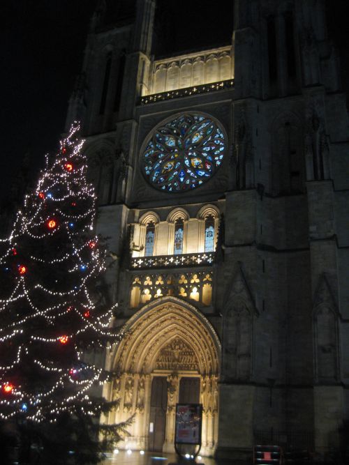 ライトアップされたツリーと世界遺産「サンタンドレ大聖堂」