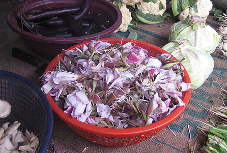 仕入れておいてね！と頼んでいましたら、このとおり！