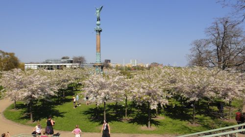 日本企業が寄付した桜の植えてある公園