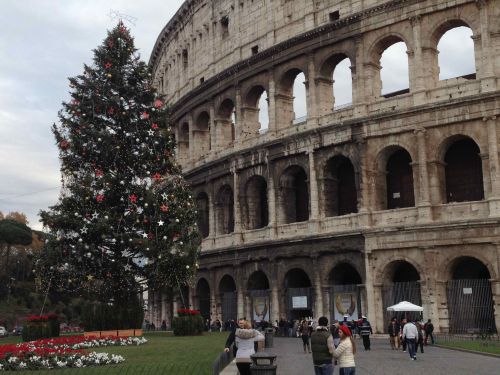 コロッセオとツリーの豪華な共演、12月のローマの風物詩