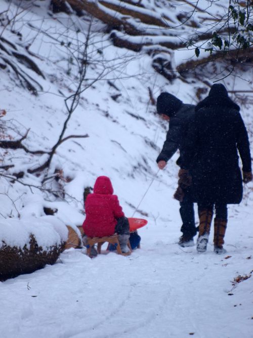 たまの雪なら、スケートやソリで遊べるので歓迎