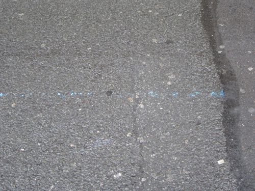 ミニバスの路線を表す青い線
