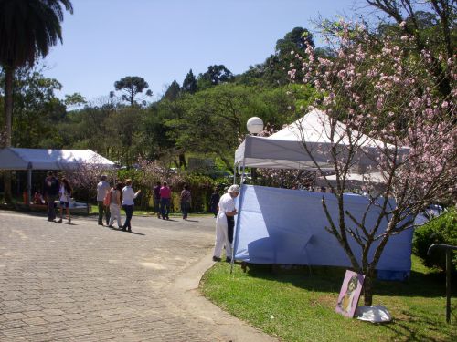 桜の木も植えられた遊歩道も有する、広い敷地の憩の園