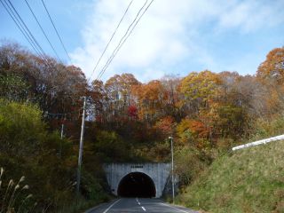 トンネルも秋らしく模様替え