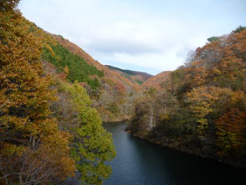 鶴沼川　おいしい岩魚がとれるらしい