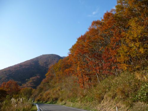 燃えるような赤・黄色・茶色　南会津の紅葉