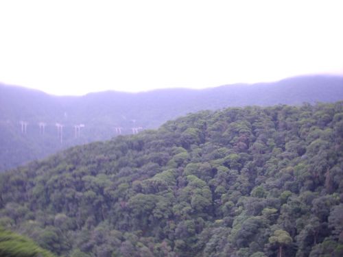 サンパウロ市からサントス市の間の大西洋海岸山脈の風景。自動車道の高架が見える