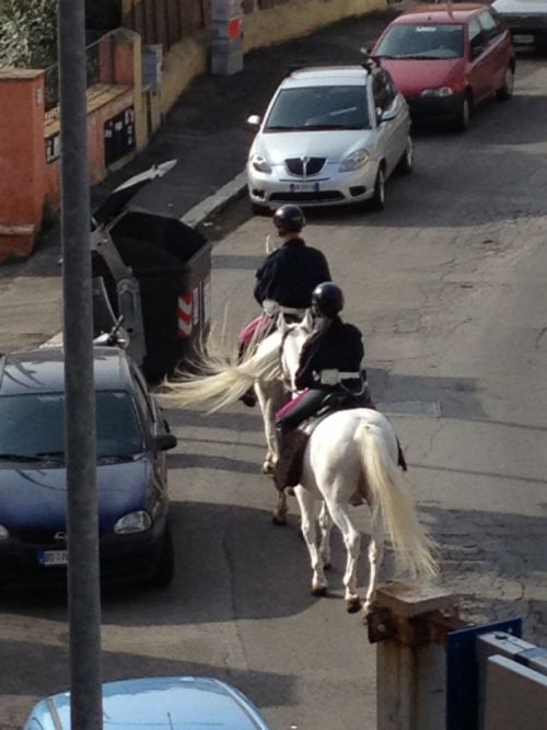 公園警備の騎馬警官が優雅に通る自宅前