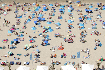 オランダの砂浜も熱帯のビーチに早がわり！？