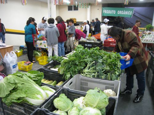 隔週土曜日に開かれる野菜市場の風景（サンパウロ市東洋街の宮城県人会会館駐車場）