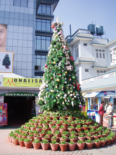 クリスマスツリーもあちこちに飾られています。