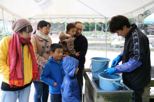 調理する石田さんの息子さん、小学１年生から魚をさばく手伝いをされていたそうです。見事な魚さばきにほれぼれ