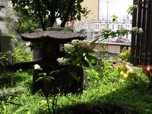 東洋人街の和風の花壇に植えられた「源平かづら」