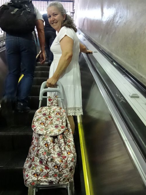 フクロウ柄プリントのキャリーバッグを持つ女性