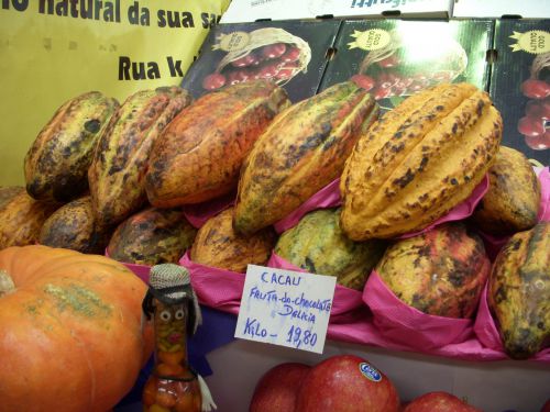 市場で売られているカカオの果実