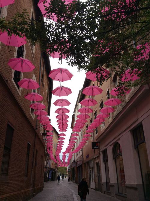 アルビ中心街にピンクの傘が