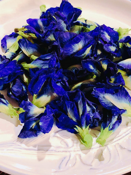 この鮮やかな青色の花がバタフライピー
