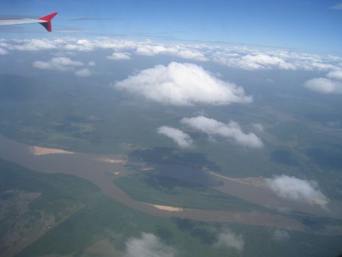 アマゾン川一帯は密林に覆われている
