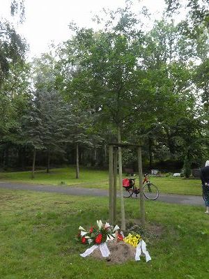 樹木葬で送られた叔父のお墓。若い樫の木の根元に眠っています。