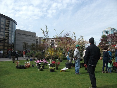 春は植木市も開かれる日系文化センター・博物館
