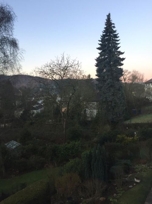 冬のドイツ、人口5万人ほどの住宅街からの一風景