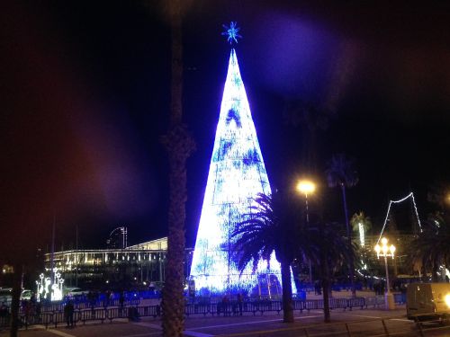 高さ３１メートルのカタルーニャ地方最大のクリスマスツリー