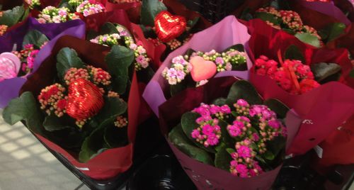 とてもキュートな花束が、バレンタインデー用に販売されていました。