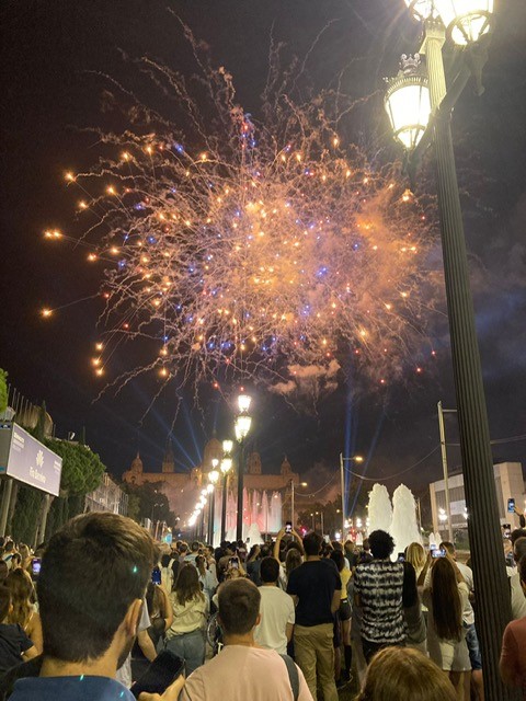 噴水ショーも同時に彩りを添えるスペイン広場は、花火観賞の人気スポット 
