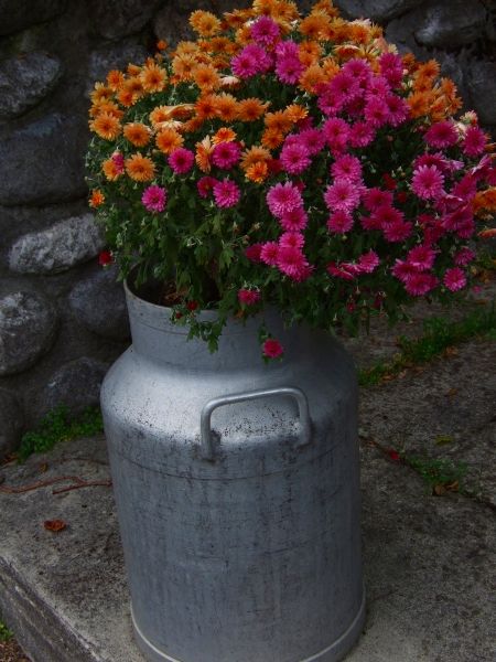 お墓に供える花は、季節がらか菊の花が多いです