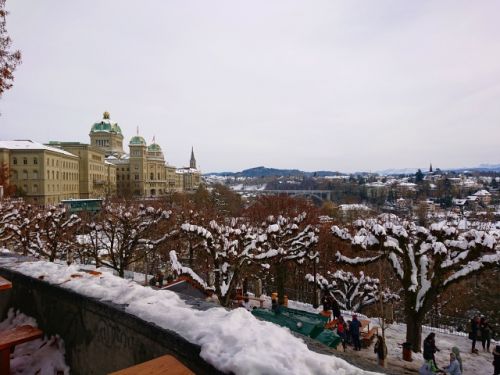 ベルンの雪景色も素敵でした