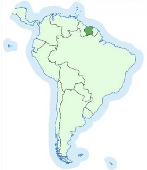 南アメリカの小国