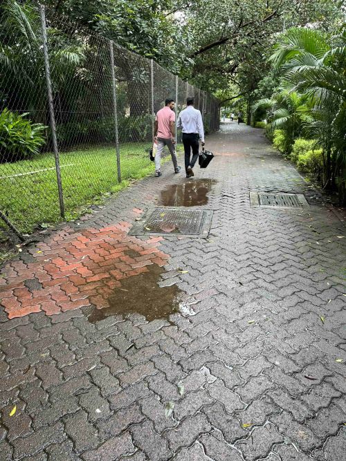 雨上がりの歩道