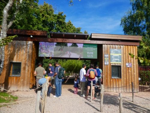 今からサルたちが暮らす森林公園へ出発!