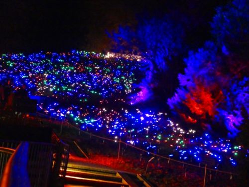 暗闇の中で多数の光が風で揺れる光たちは神秘的