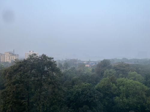 ムンバイの空気。遠くの景色が白く霞んでいるのが分かりますでしょうか