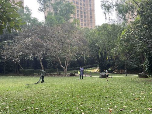 公園で遊ぶ子供。この日はたこ揚げをする日だったので、子供が凧揚げをしている姿を度々見かけました（日本で言う新年のような日でした）