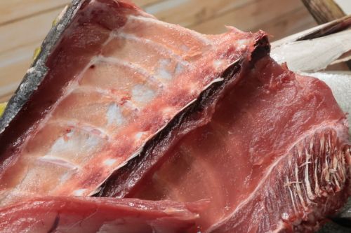 解体されたマグロの中骨