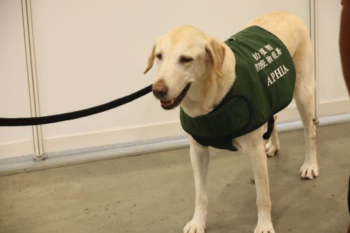 検疫探知犬のナオミ