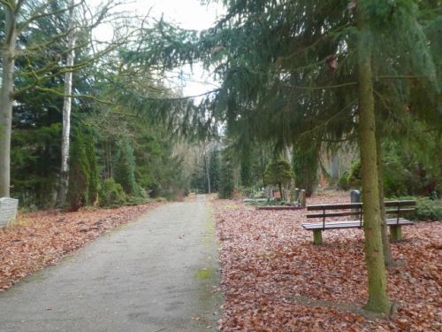 林の中の墓地には、広い歩道やベンチがあり憩いの場にもなっています