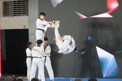 オーバーヘッドキックで板割り